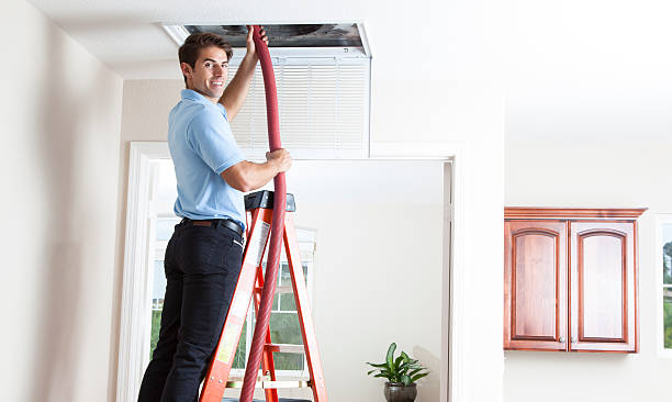 Best Professional Duct Cleaning Services  in Ionia, MI